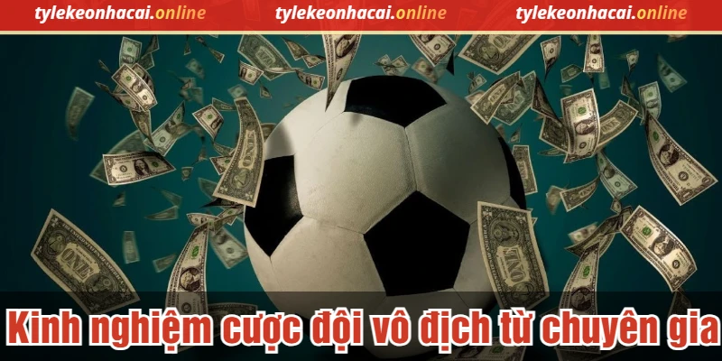 Kinh nghiệm cược đội vô địch từ chuyên gia