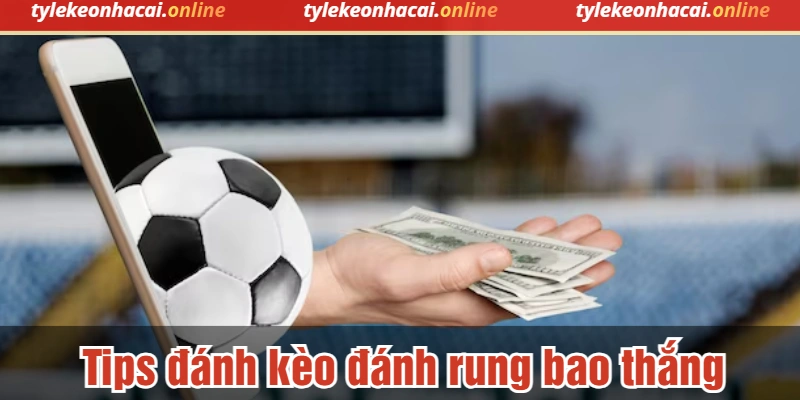 Tips đánh kèo đánh rung bao thắng